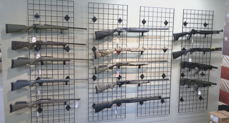 Florida court overturns ban on open carry