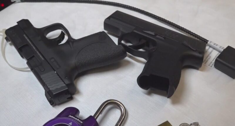 Florida ends open carry ban after court ruling