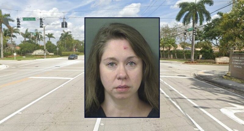 Florida woman allegedly crashes into school bus