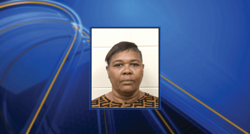 Former day care employee pleads guilty to cruelty to children