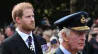 GMB star faces furious backlash as she brands King Charles 'abysmal father'
