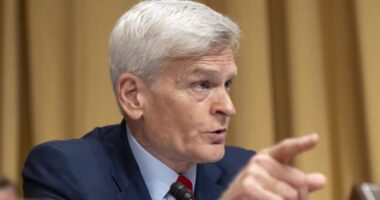 GOP senator on Trump linking autism, Tylenol: 'Not the case'