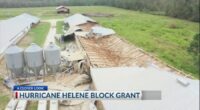 Georgia farmers affected by Helene get $531 million grant