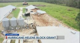 Georgia farmers affected by Helene get $531 million grant