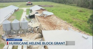 Georgia farmers affected by Helene get $531 million grant