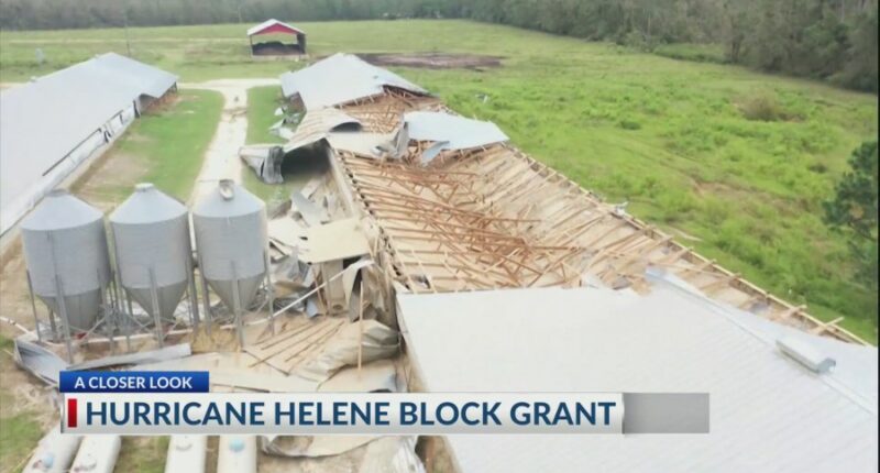 Georgia farmers affected by Helene get $531 million grant