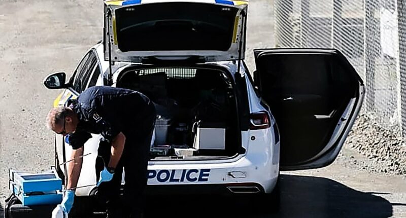 Grim fears grow for the kids of fugitive father shot dead by cops as they remain missing in the freezing New Zealand wilderness