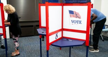 Growing number of independent voters poses challenges for both parties