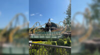 Guest dies after riding Epic Universe roller coaster, theme park says