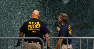 Gunman who blamed NFL for hiding brain injury dangers had CTE, medical examiner confirms