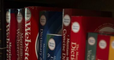 Dictionaries are displayed for sale at Powell's Books on Thursday, Sept. 18, 2025, in Portland, Ore. (AP Photo/Jenny Kane)