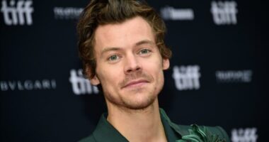 Harry Styles, using pseudonym, runs Berlin Marathon in under 3 hours