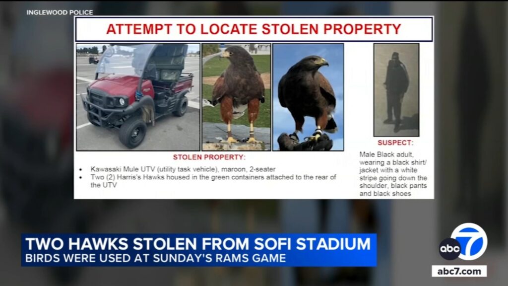 Hawks meant to 'work' Los Angeles Rams game Sunday in California inside vehicle stolen from SoFi Stadium: Inglewood police