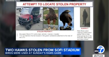 Hawks meant to 'work' Los Angeles Rams game Sunday in California inside vehicle stolen from SoFi Stadium: Inglewood police