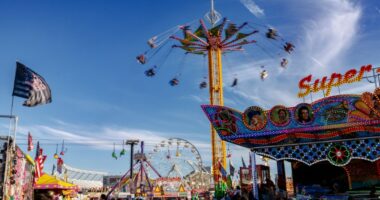 Here's what's on tap at the South Carolina State Fair