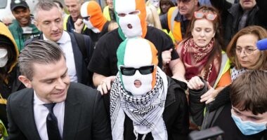 Hezbollah flag-waving Kneecap rapper has terror charge thrown out thanks to blundering CPS as his group's fans create circus at court