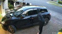 Ashburton carjacking