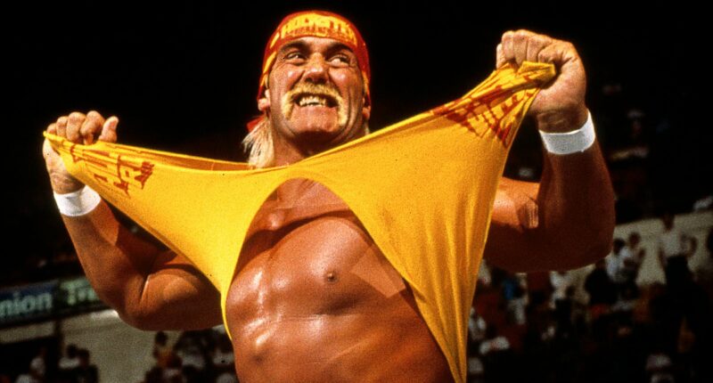 Hulk Hogan fans furious he was left OUT of in memoriam at Emmys