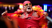 Hulk Hogan sex tape under restraining order in suit over documentary