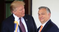 Hungary, following Trump, will designate antifa a terrorist organization, Orbán says