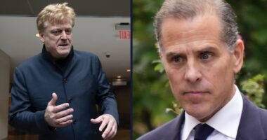Hunter Biden demands ex-Overstock CEO Patrick Byrne's arrest