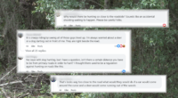 Hunters using Land's End Road spark safety concerns