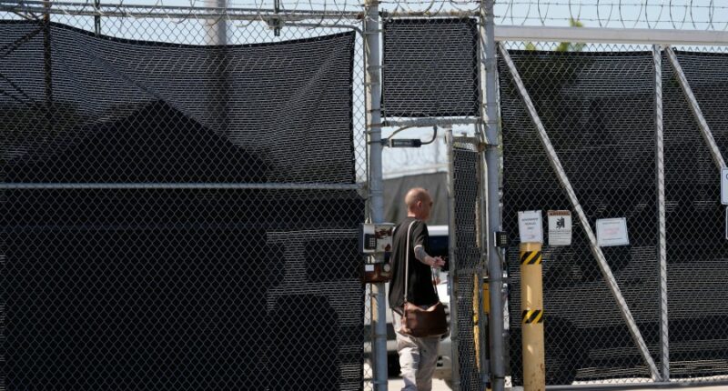 ICE efforts about intimidation, not immigration: Illinois mayor