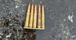 ICE shooter hated government, sought 'terror', US officials say