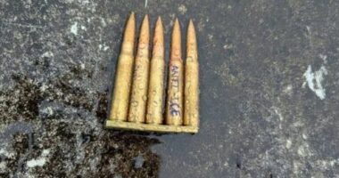 ICE shooter hated government, sought 'terror', US officials say