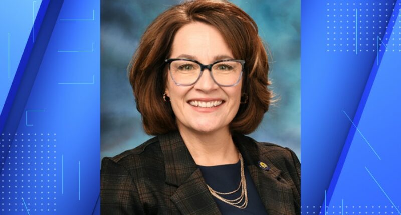 Illinois lawmaker says someone shot at her house; suspect detained