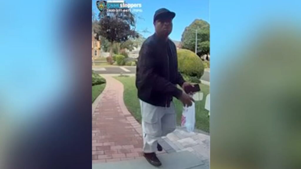 Jamel McGriff in custody after couple severely burned in 'horrific double homicide' in NYC: Police