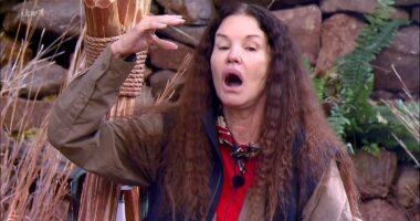 Janice Dickinson sues ITV over I'm A Celebrity accident