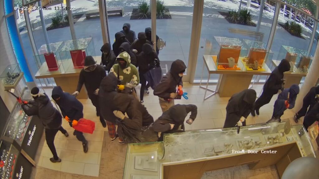 Jewelry store theft: Dramatic video shows nearly 25 suspects ransacking San Ramon, California jewelry store in $1 million heist
