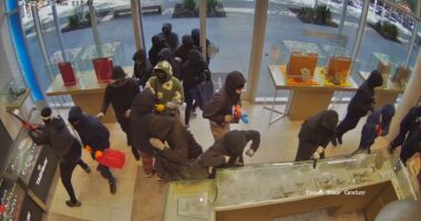 Jewelry store theft: Dramatic video shows nearly 25 suspects ransacking San Ramon, California jewelry store in $1 million heist