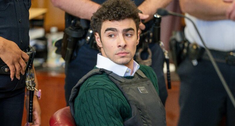 Judge Dismisses Terrorism Charge in NY Health CEO Case