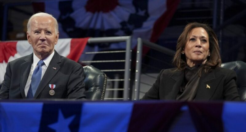 Kamala Harris calls Biden’s decision to run 'recklessness'