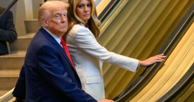 Karoline Leavitt suggests UN workers intentionally stalled escalator