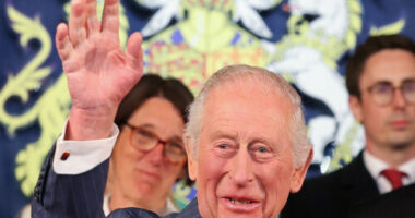 King Charles 'very concerned' about social media impact