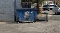 Las Vegas man accused of dumping dead dog played video games while pet sat in 109-degree heat: police