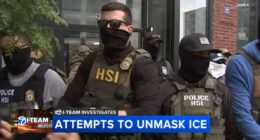 Lawmakers seek to crack down on agents for ICE wearing masks as DHS' Chicago immigration operation 'Midway Blitz' continues