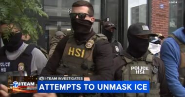 Lawmakers seek to crack down on agents for ICE wearing masks as DHS' Chicago immigration operation 'Midway Blitz' continues