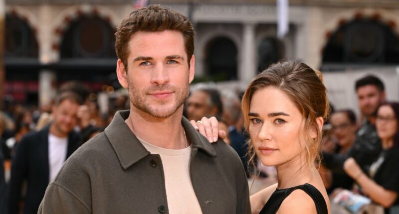 Liam Hemsworth and Gabriella Brooks Are Engaged: Details