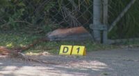 Shooting in Logan Queensland