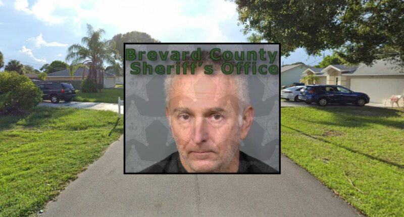 Man attacked woman who walked up the wrong driveway: Cops