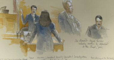 Man charged with trying to kill Trump presents his defense