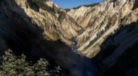 Man injured in Yellowstone’s first bear attack since 2021