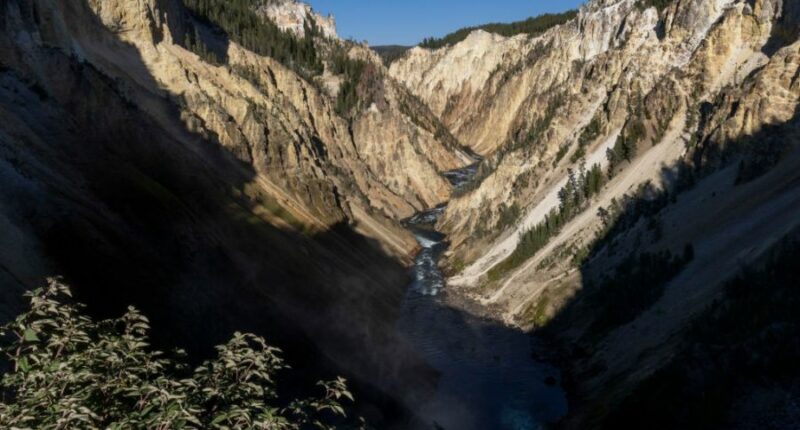 Man injured in Yellowstone’s first bear attack since 2021