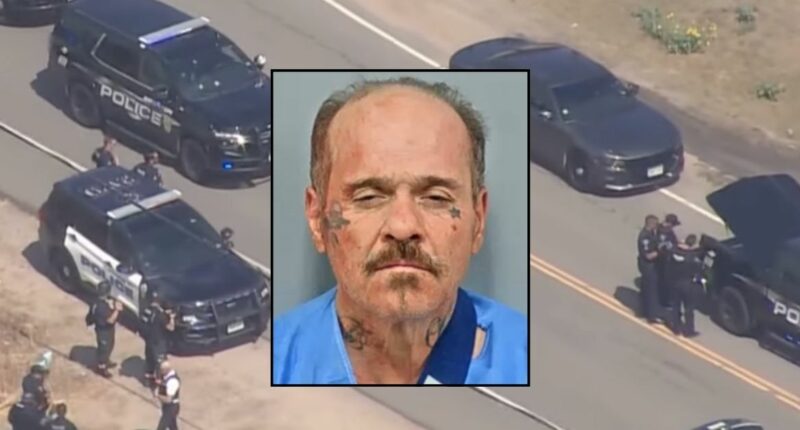Man killed pregnant girlfriend, went on crime spree: Cops
