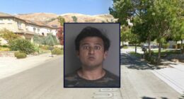 Man killed sex offender, said it was 'really fun': Cops