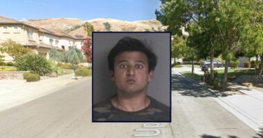 Man killed sex offender, said it was 'really fun': Cops